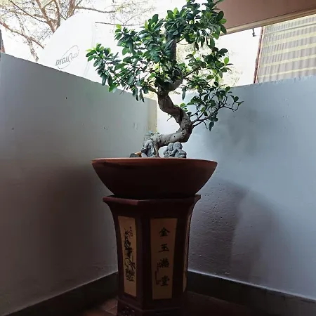 Bed & Movie * 로마